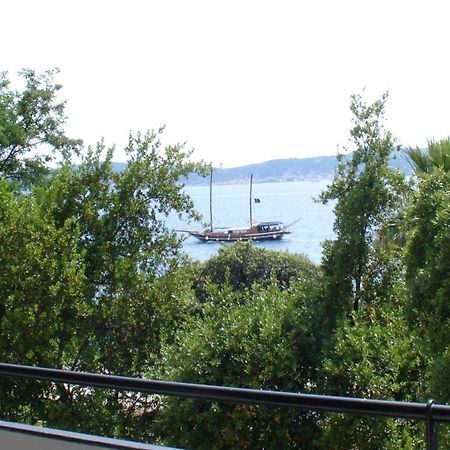 Apartment Jelena Zadar Exteriör bild